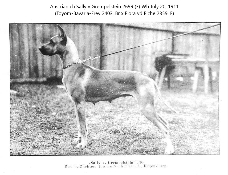 Sally v Grempelstein